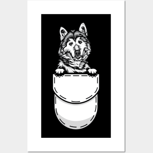 Funny Alaskan Malamute Pocket Dog Posters and Art